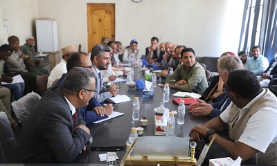 11n02.jpg